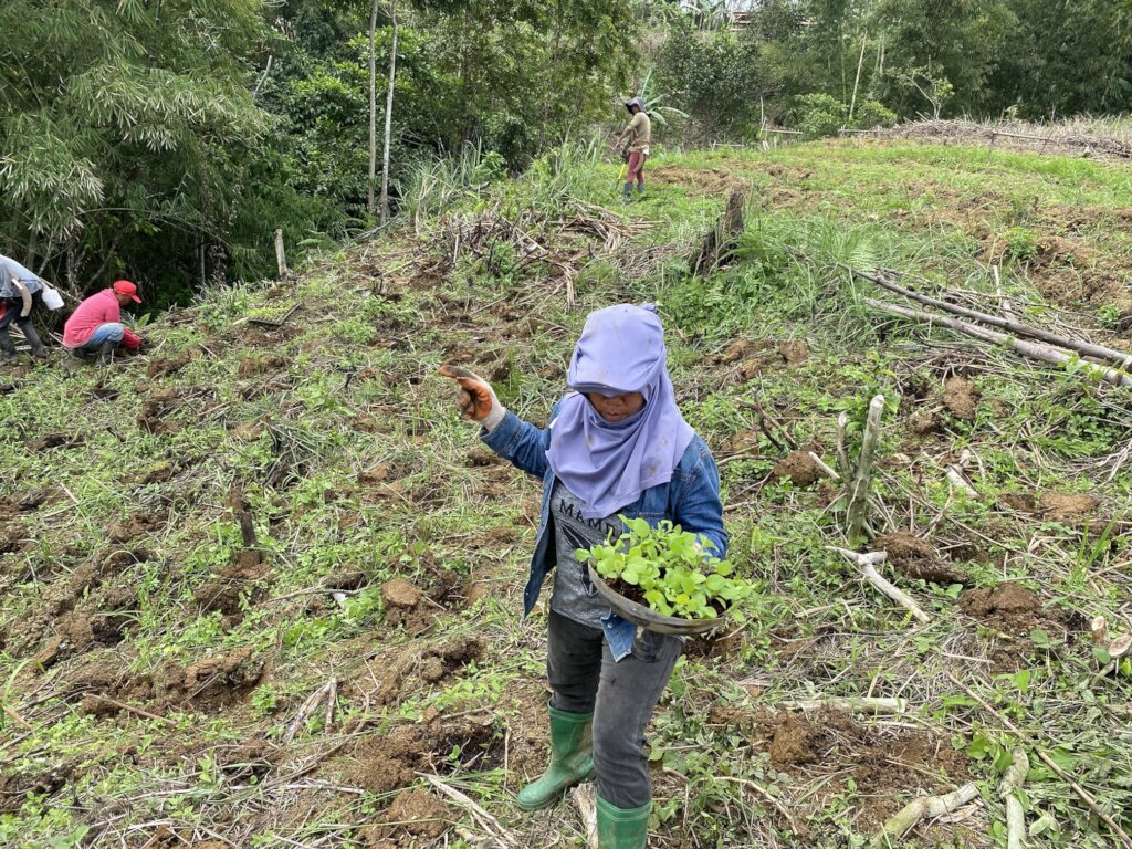 Continue with assistance