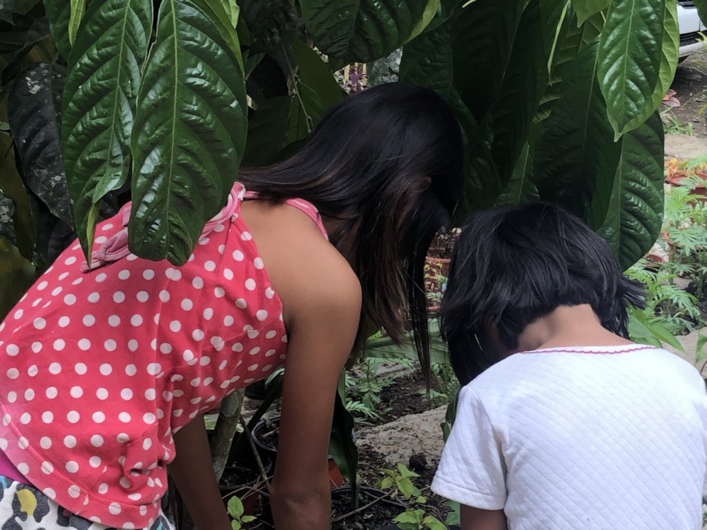 Abused Girls Rescue and Support Project