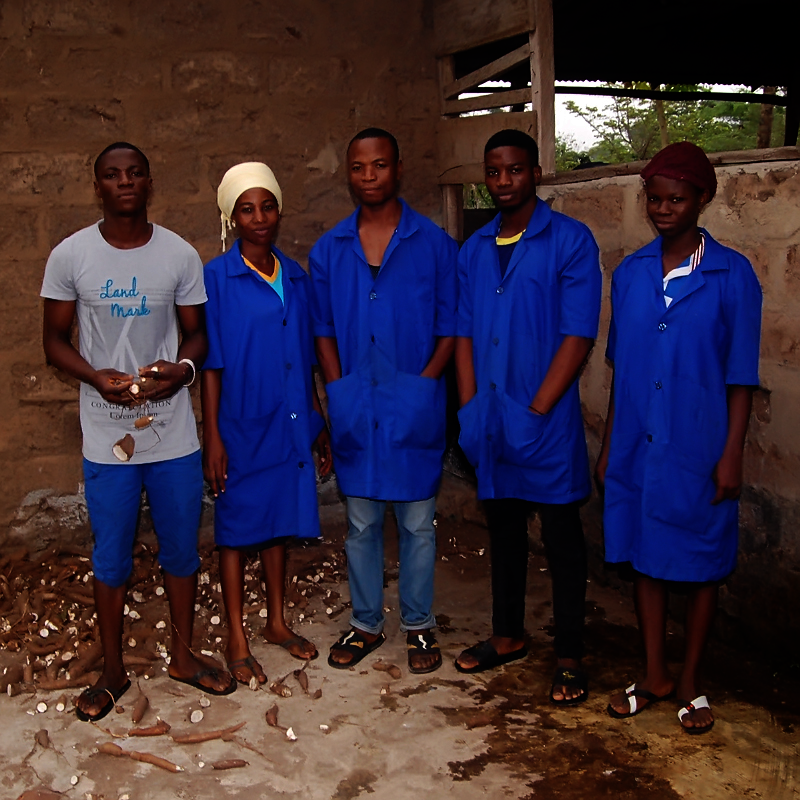 Black soldier fly larvae production