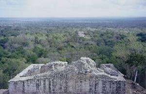 Saving Mexico's Forests, People and Wildlife