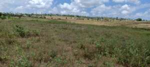 Potential Farm Land We Can Purchase