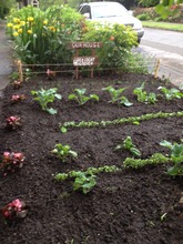 Resident Garden
