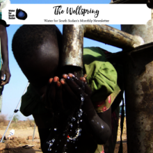 The Wellspring