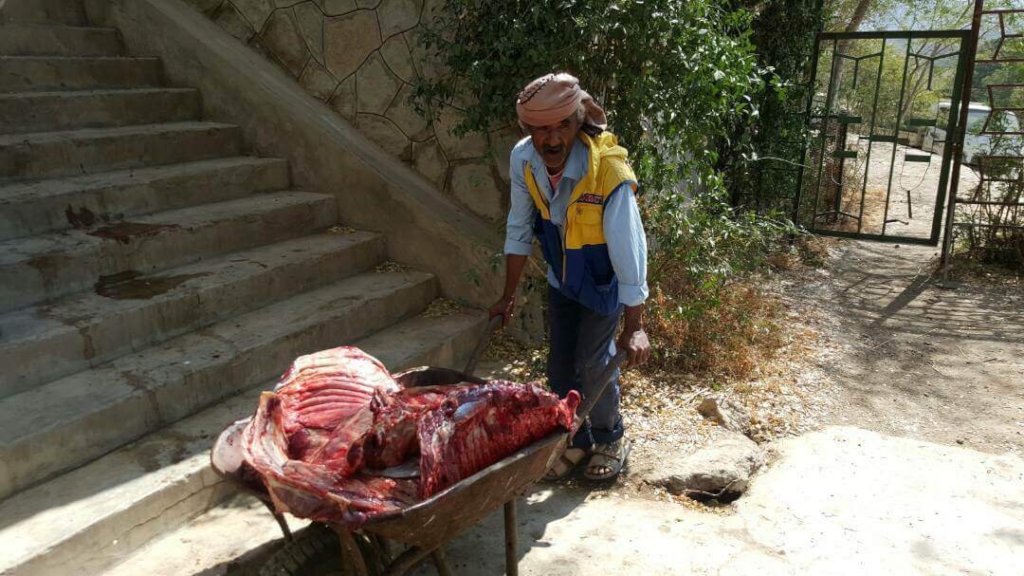 Taiz Zoo Rescue and Conserve Mission