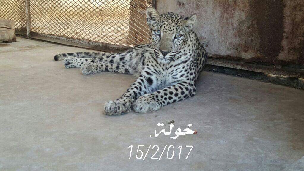Taiz Zoo Rescue and Conserve Mission