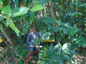 Akalanga checks the hives