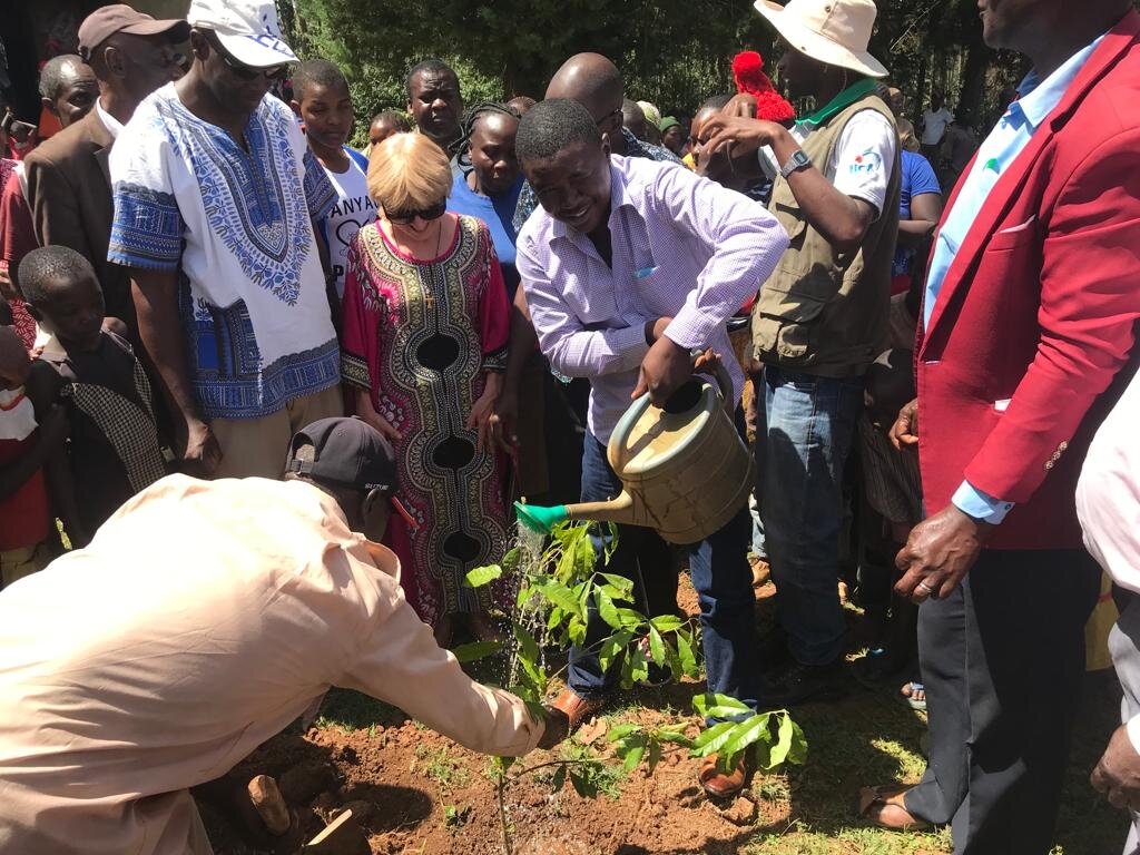 Area Subchief watering a seedling he just planted