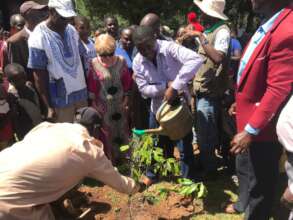 Area Subchief watering a seedling he just planted