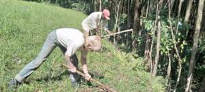 Digging planting holes
