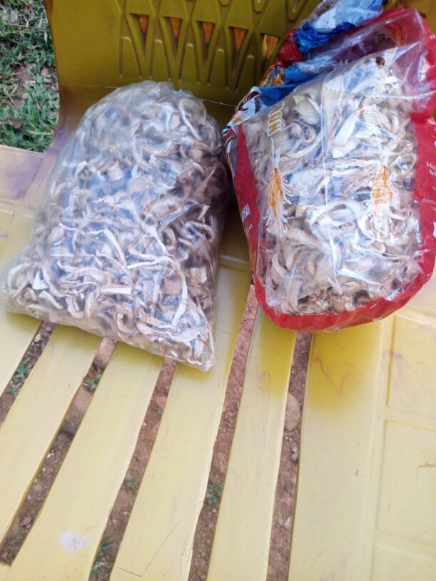 Mushrooms for the Market