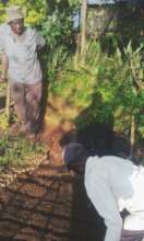 Farmer planting tree seeds