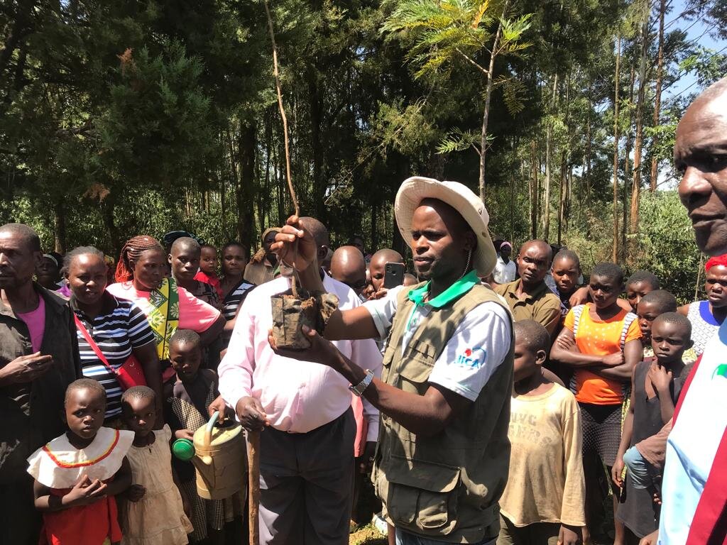 KFS Forester holding seedling