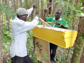 Hanging Hives