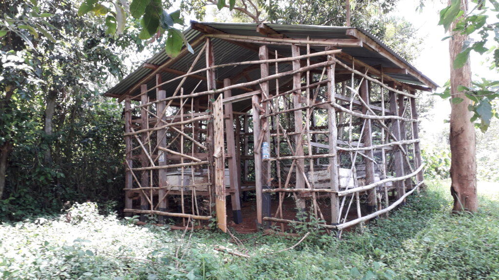 Beehive Structure on Farm