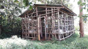 Beehive Structure on Farm