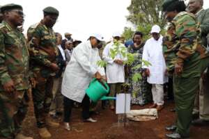 Kenya Forest Service Mt. Elgon Restoration 3/30/25