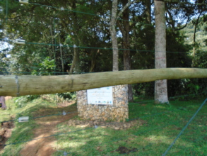 Kakamega Forest Fence