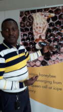 ICIPE Stingless Bee Expert, Dr. Kiatoko Nkoba