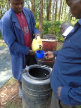 Mixing molasses into the substrate solution