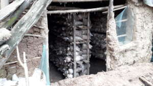 Mushroom House showing Substrate Sacks