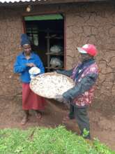 Mushrooms harvested for drying 27 September