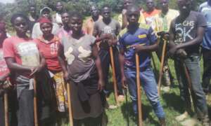 Planting Crew