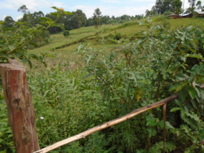 Small farm near the restoration site