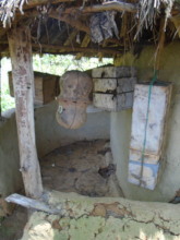 Stingless Bee Hives