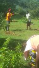 Woman Planting Seedlings