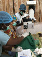 Dr. Judith Simon at Work