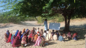 1. Tree School