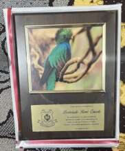 Our founder's award