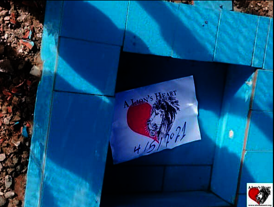 Water Basins for the animals in Taiz Zoo, Yemen