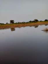 Flooding