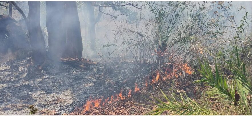 Human induced forest fires burning out of control