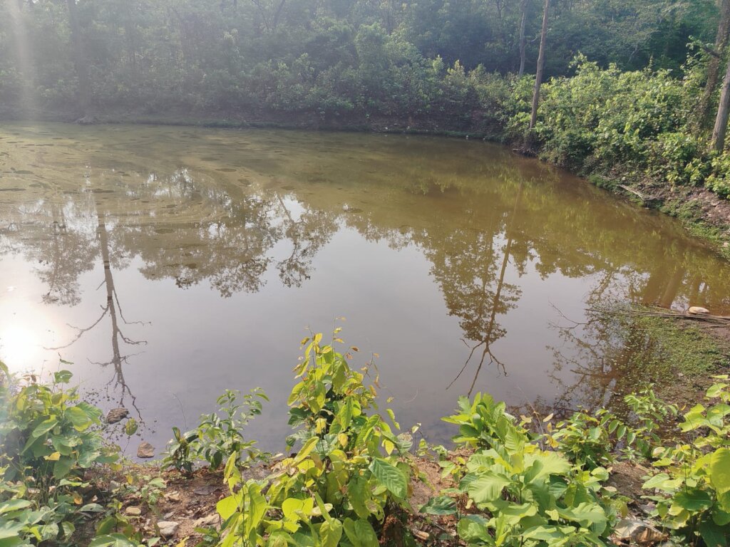 Waterhole in Riyadihi 7' deep despite a dry spell