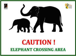 Sample of Our Signage Board