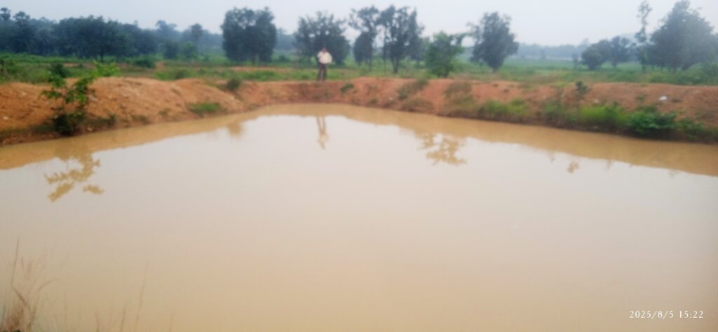 Securing Rewilding Corridors for Odisha Elephants