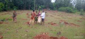 Saplings Plantation at Susab