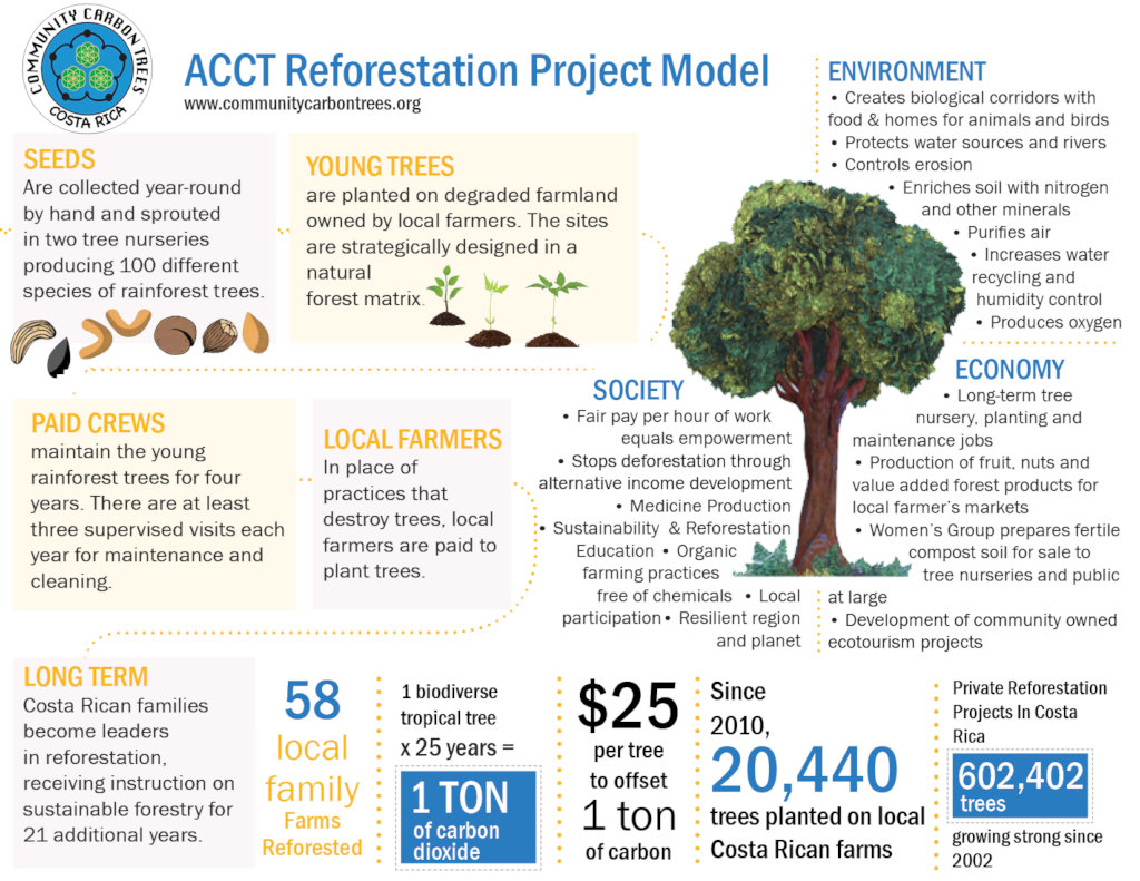 Future Forest Now: Plant 100 Trees for Earth Day