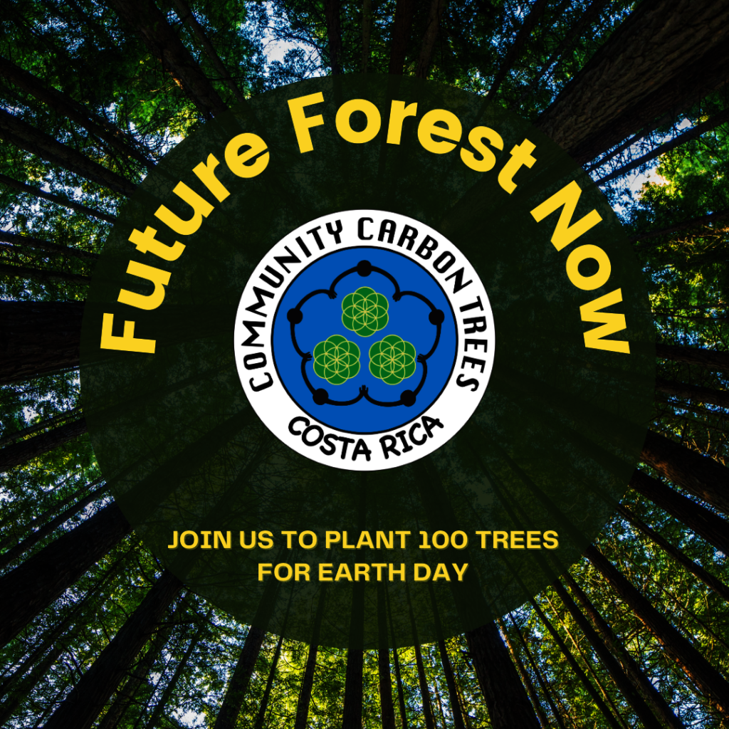Future Forest Now: Plant 100 Trees for Earth Day