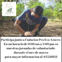 Social media post for Volunteers