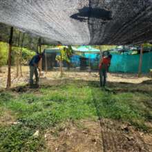 Volunteers working on the new tree nursery