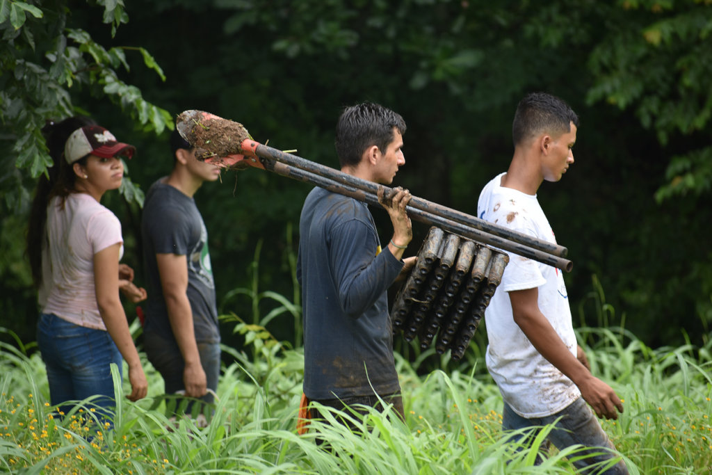28000 trees/year to reforest Azuero Peninsula