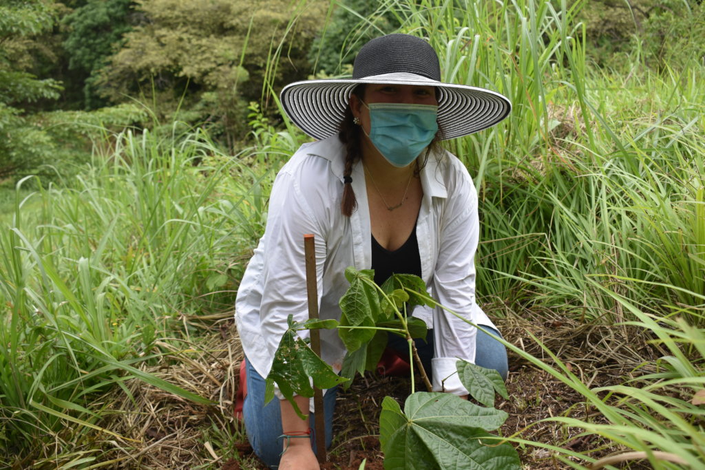 28000 trees/year to reforest Azuero Peninsula