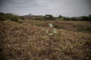 Azuero dry season