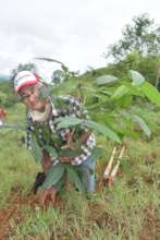 Local farmer reforesting with Pro Eco Azuero
