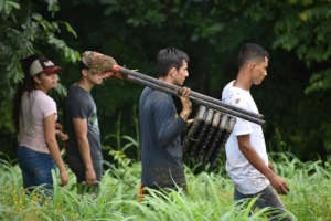 Environmental Volunteers