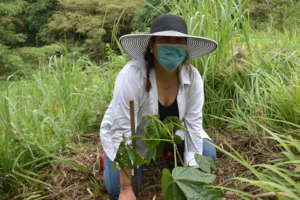 Pro Eco Azuero Executive Director