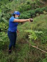 Monitoring each planted tree